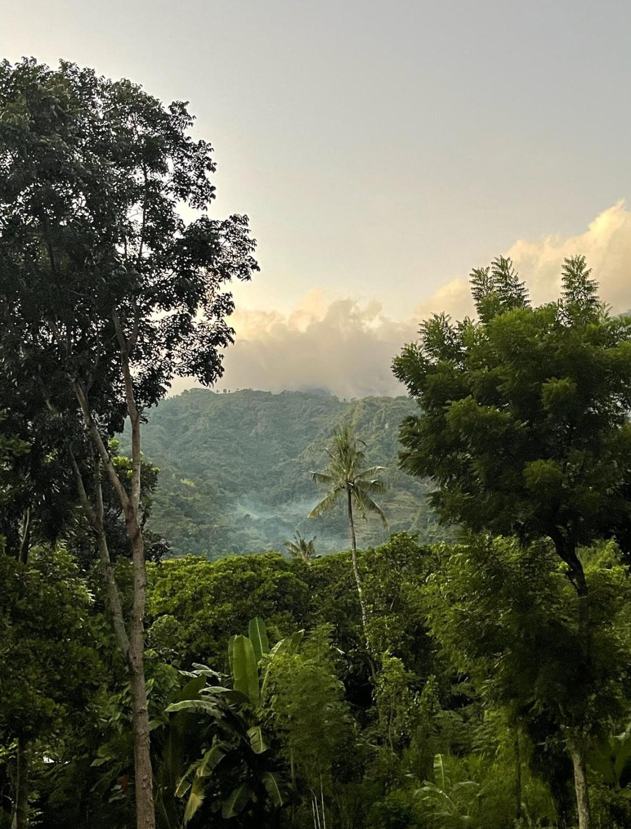 Villa Tropical Habitat Bali à Amed Extérieur photo