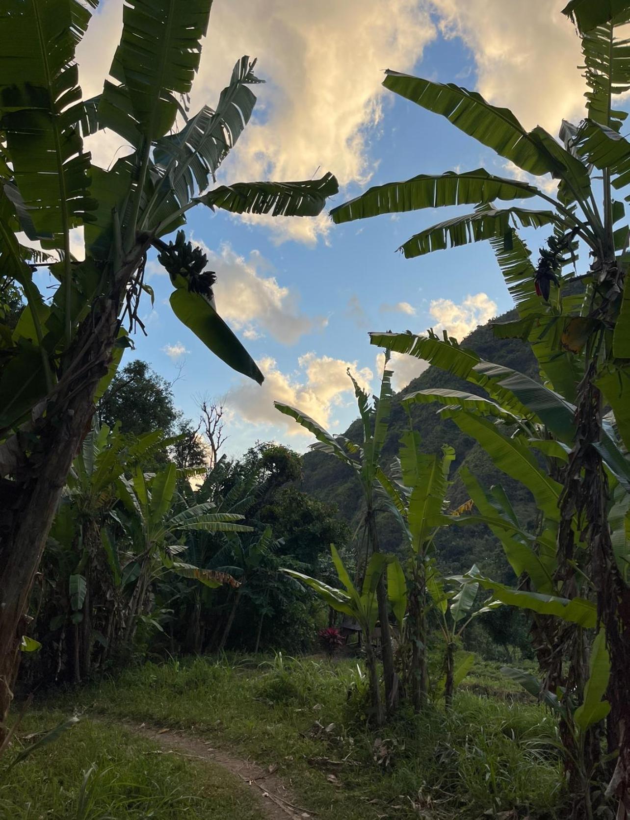 Villa Tropical Habitat Bali à Amed Extérieur photo